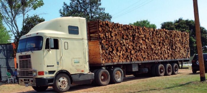 70 Raummeter Schnittholz fährt solch ein Truck aus dem Eukalyptuswald © La Rivera S.A.