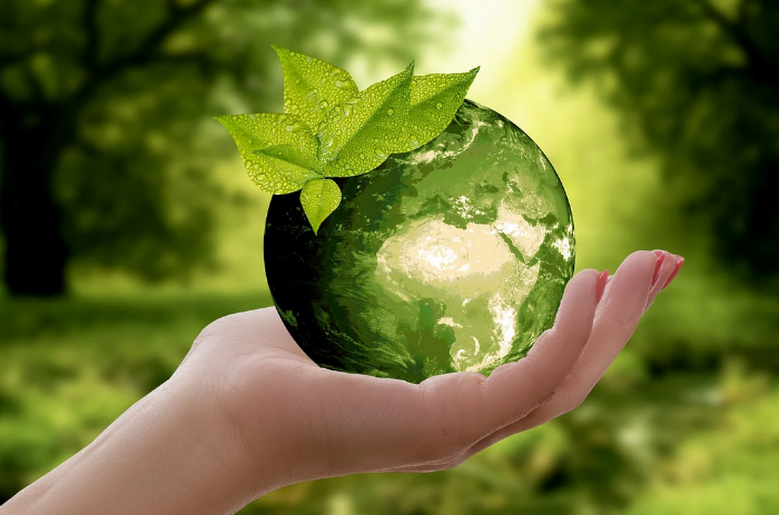 Nachhaltigkeit - Versicherungsmakler mit nachhaltigen Produkten