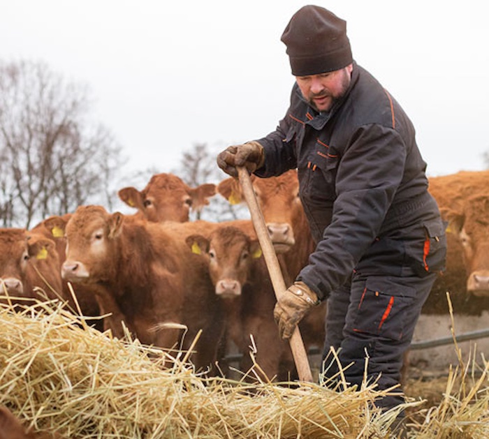 Wegen Land Grabbings rings um ihn her kann Bio-Bauer Carlo Horn (42), Geschäftsführender Gesellschafter der Kranichsberger Agrargesellschaft mbH in Kagel in der Mark Brandenburg, den Familienbetrieb nicht vergrößern und bekommt daher auch weniger EU-Gelder © Trailerfoto für den Film „We unite“ der IFOAM – Organics International aus Bonn vom Juni 2019