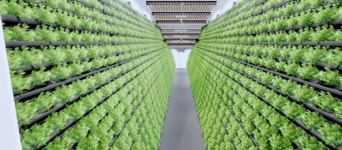 Vertical Farming im Container-Hochbeet © MABEWO AG