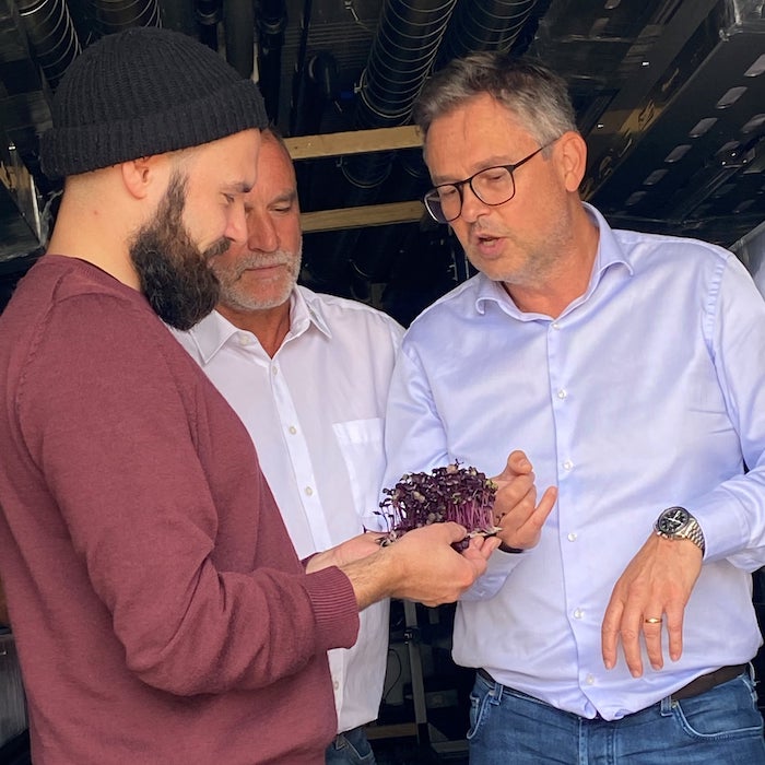 Der Berliner Urban-Gärtner Thomas Bless (links), der hessische Bio-Gemüsebauer Stefan Ruckelshaußen und der Schweizer Umweltingenieur und MABEWO-CEO Jörg Trübl begutachten ihre gesunden Microgreens ( Jungpflanzen im Keimblattstadium), die in ihren Green-Domes in der Pilotanlage auf dem Food & Energy Campus Groß-Gerau im Rhein-Main-Gebiet jahreszeitenunabhängig wachsen © Facebook.com/foodandenergycampus