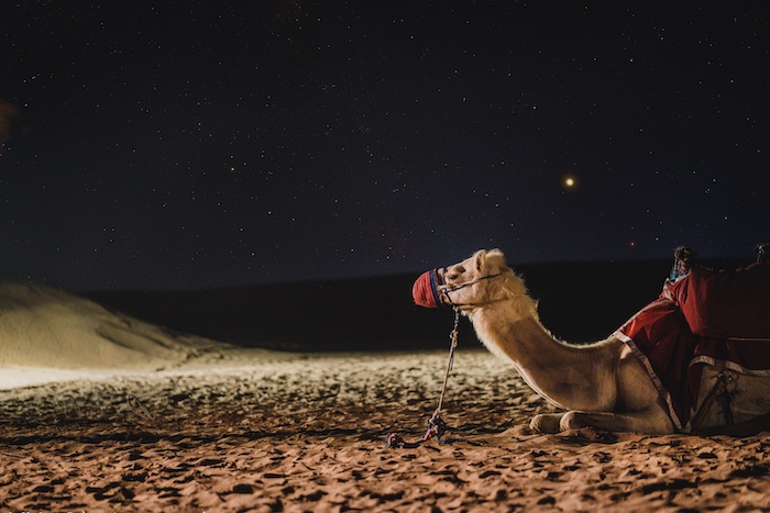 Dubai bei Nacht © pixabay.com