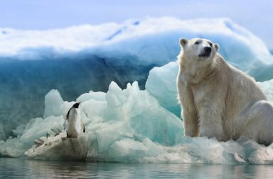 Arktis Klimakatastrophe
