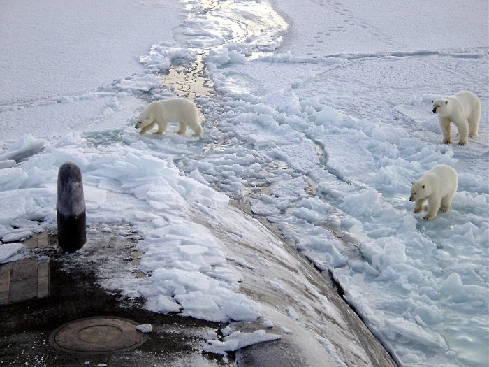 Arktis - Klimaveränderung
