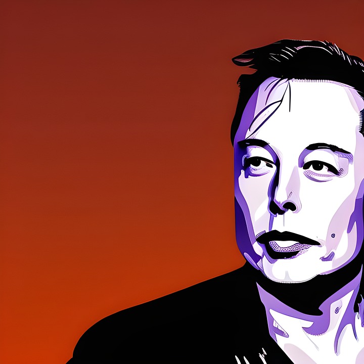 Elon Musk - Visionär oder ein Irrer?