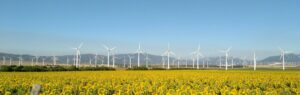 Die Windkraft macht in Deutschland einen bedeutenden Teil der Stromproduktion aus, dennoch stehen die Windräder teilweise still, da die Energie nicht gespeichert werden kann und das Stromnetz überlasten würde.
