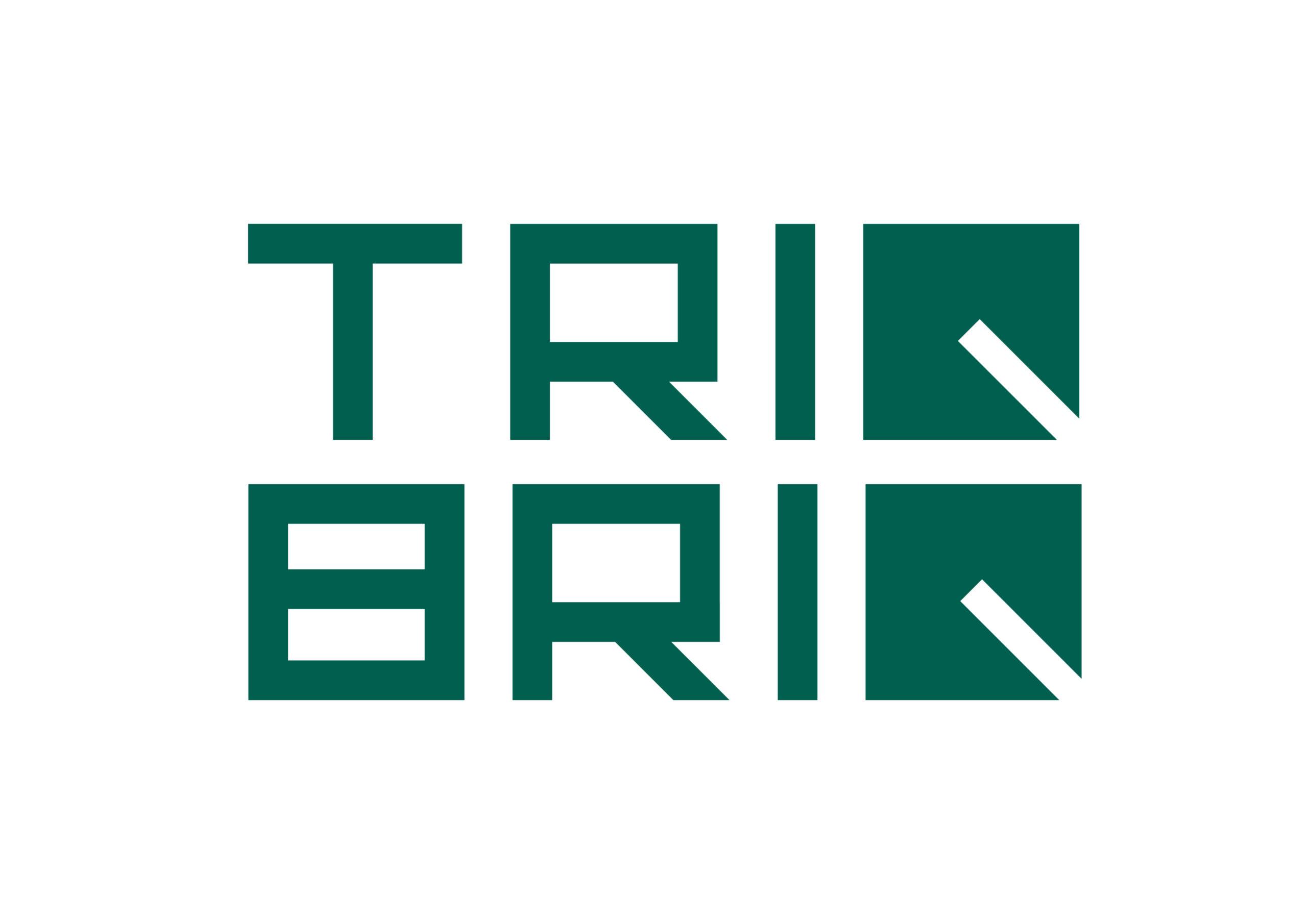 Logo von TRIQBRIQ AG