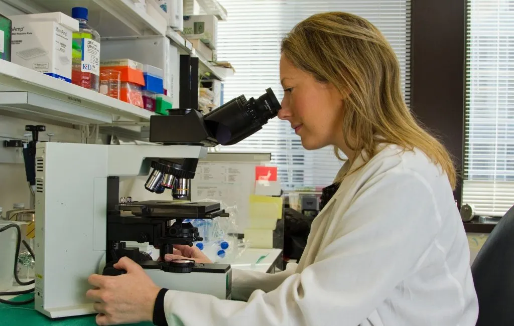 heranos Startup Betrügerin geht ins Gefängnis